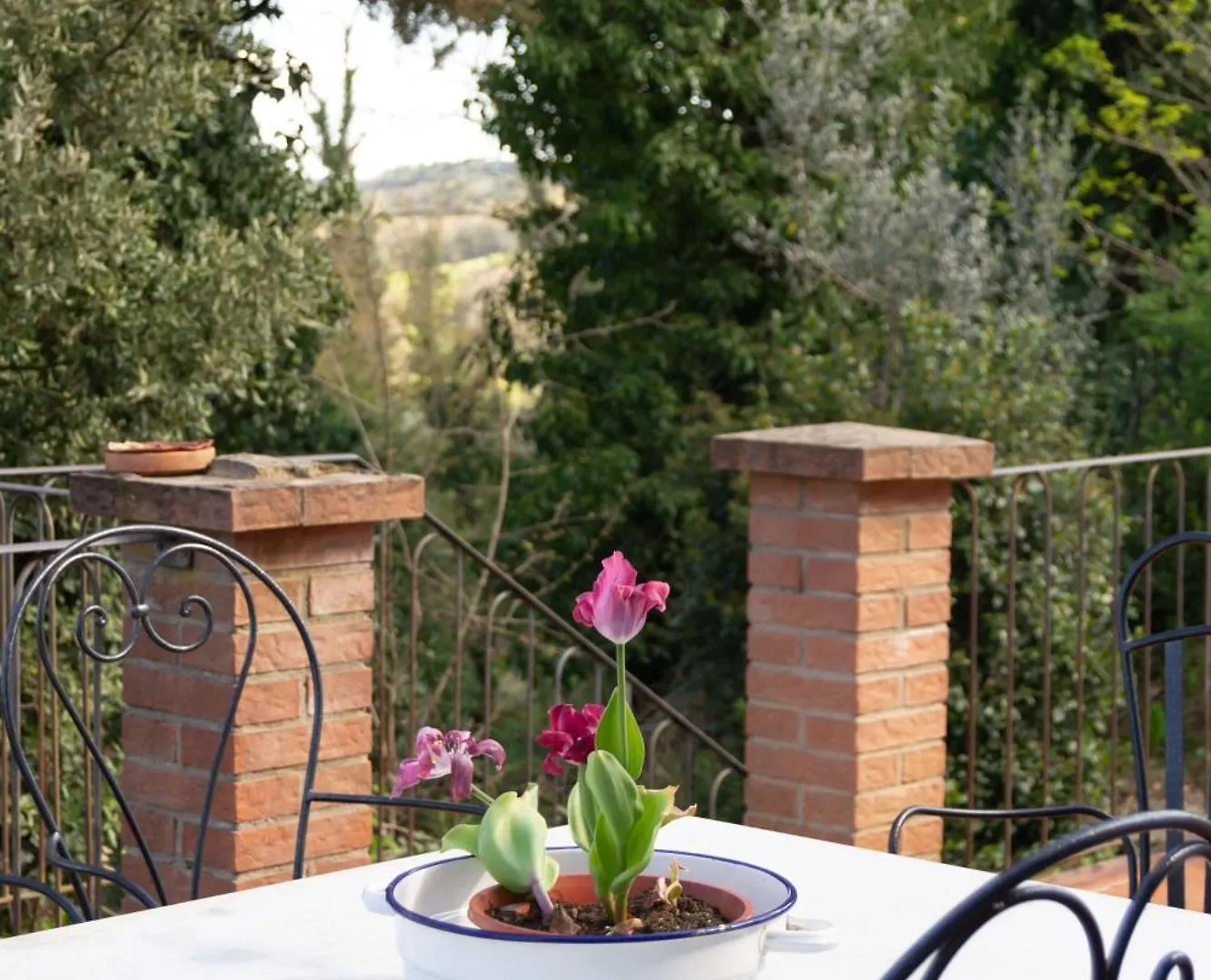 Aparthotel Torre Rasa Borsecchio Italia